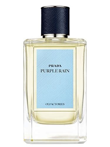 Purple Rain Prada for women and men 